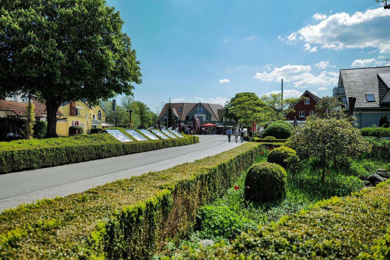 Ferienwohnungen Meerfarbig Zingst - Haustierfrei -Terrasse Mit Strandkorb Oder Balkon - E-Ladesaeule - Parkplatz - Wlan - Fahrradschuppen - Waschtrockner - Ruhig Und Zentral - Nichtraucher Exterior foto